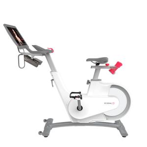 Купить Велотренажер Yesoul BV1-W PLUS в Петровске 